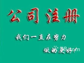 長安代理記賬與營業(yè)執(zhí)照代辦服務，助力文化藝術交流活動順利開展