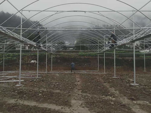 貴州銅仁18000平米薄膜連棟溫室大棚項(xiàng)目建成，助力現(xiàn)代農(nóng)業(yè)發(fā)展