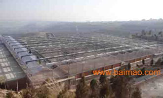 甘肅溫室大棚設(shè)計新趨勢 黃河金屬制品引領(lǐng)行業(yè)變革