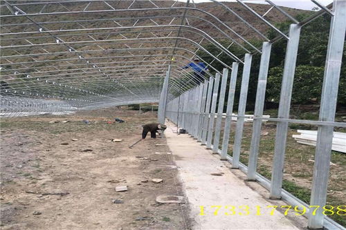 冬暖式雙層膜溫室大棚 栓裝工藝在九原大棚薄膜中的應(yīng)用