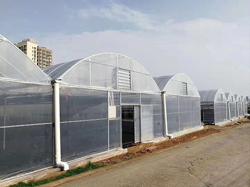 夢洋溫室薄膜 專業(yè)訂制，助力花卉溫室高產(chǎn)高效