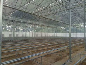 雙層充氣薄膜溫室大棚 技術(shù)特點與工作原理詳解