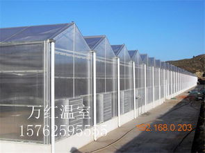 溫室大棚選購指南 薄膜、玻璃與生態(tài)玻璃溫室的對比與推薦