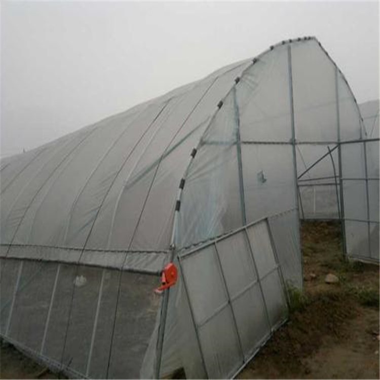 福建大棚薄膜供貨廠家與海鹽蔬菜大棚建設(shè) 旭航溫室打造專業(yè)農(nóng)業(yè)設(shè)施解決方案